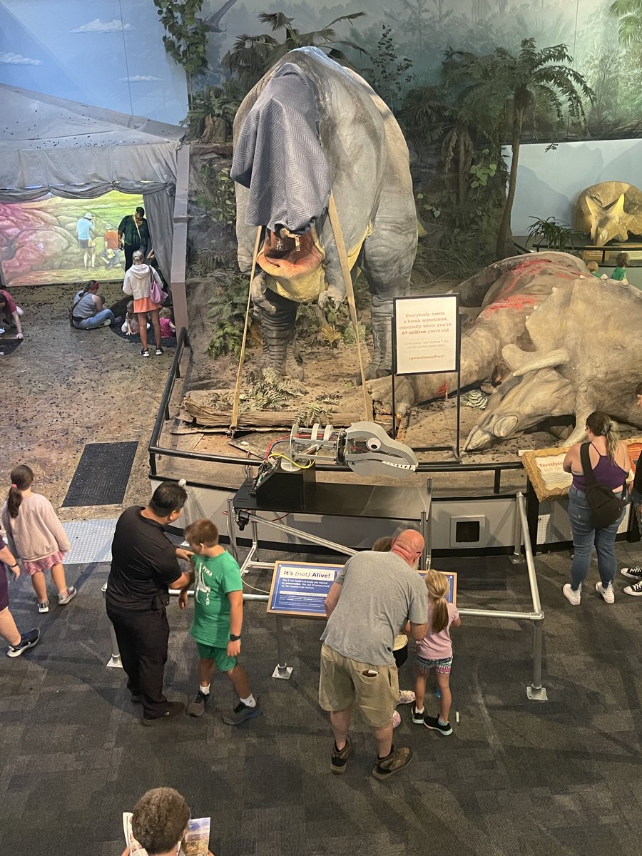 STLScienceCtr's tweet image. Looks like our T. rex isn&apos;t the only bird who needs saving. 🦖#XTwitter #Xwitter #GetWellSoonTrex #SaveTheBird