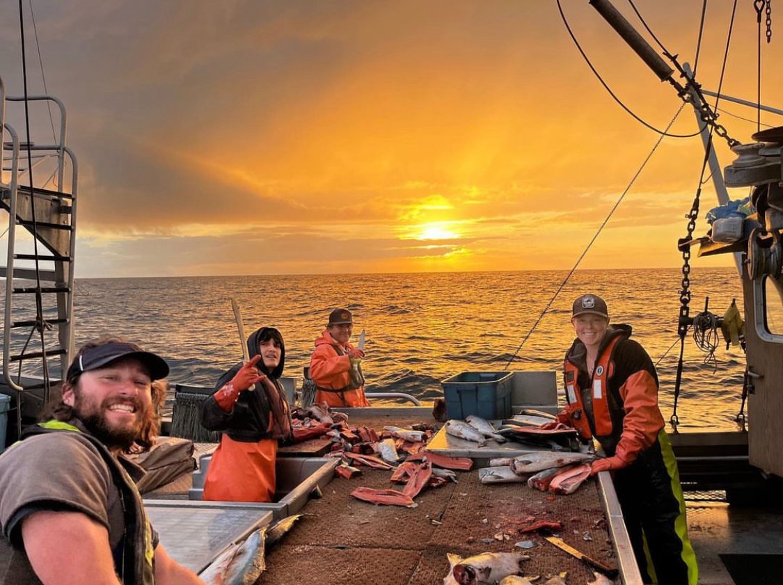 The Ocean Quest is baiting up for their last #wildPacifichalibut trip this season! 

Q: Do you know what  is used for bait when fishing wild Pacific halibut? 

A: either fresh or frozen salmon, pollock, squid, herring or a mixture

Learn more about the wild Pacific halibut