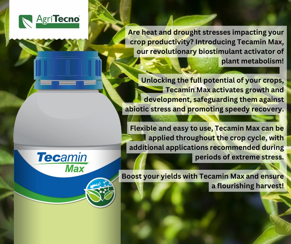 AgriTecno's tweet image. 🌱🔥 Conquer #HeatStress with Our Powerful  #AgroSolutions! 🔥🌱
Stay informed about cutting-edge agricultural solutions on Twitter! Connect with fellow farmers, share insights, and strengthen your crops against climate challenges. Let&apos;s cultivate resilience together! 🌾🌟