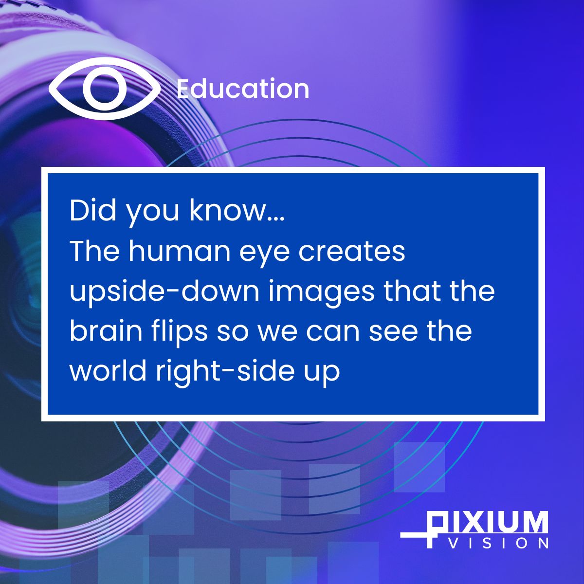 👁️📷 Our eyes are like cameras, focusing light onto the retina. They even make images upside down - it's our brains that flip them!

Pixium's Prima System aims to replace degenerated photoreceptors cells.

Learn more: bit.ly/3QcWVNQ

#neurostimulation #eyehealth