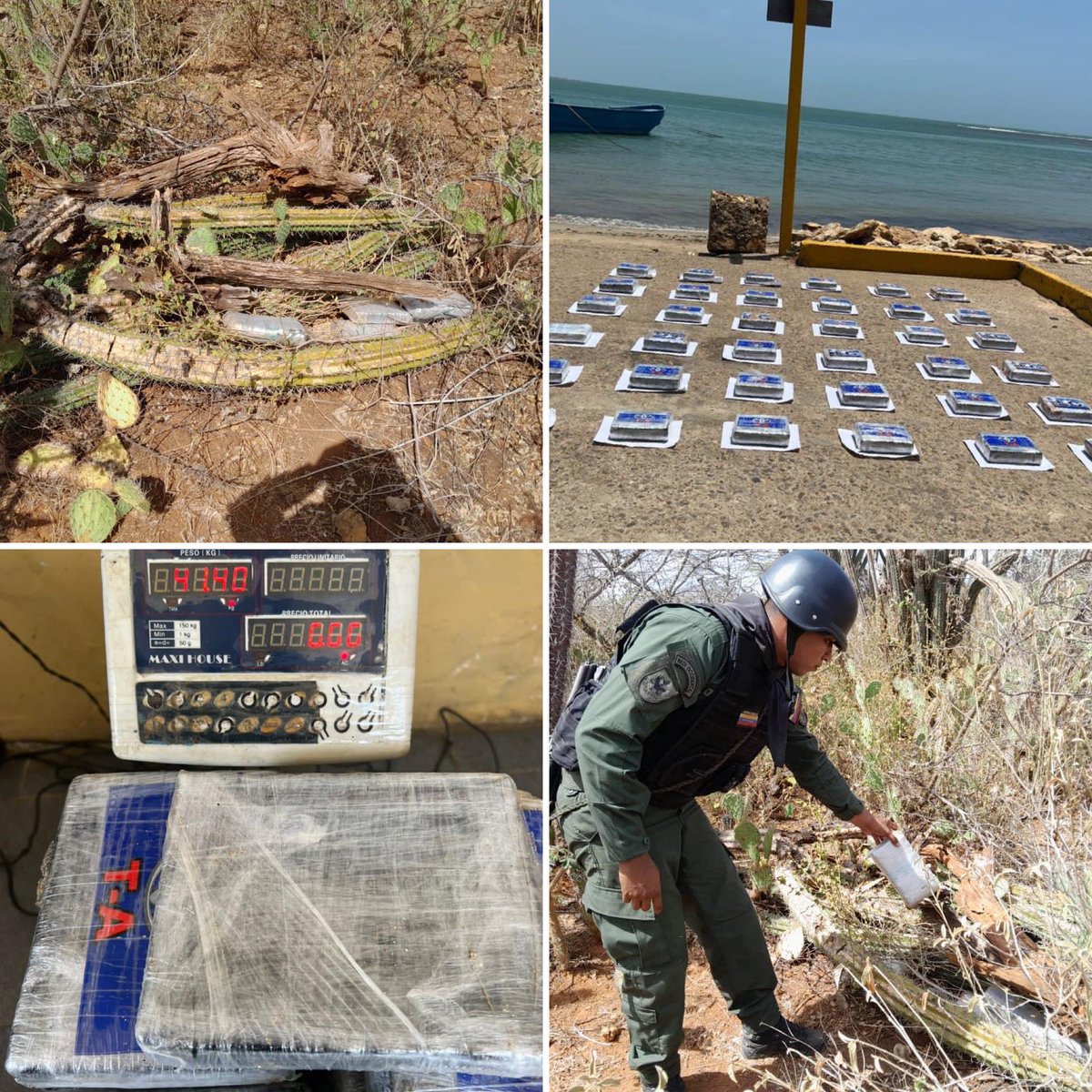 🔁RT || GJ. <a href="/dhernandezlarez/">GJ. Domingo Hernández Lárez</a>: En labores de patrullaje y escudriñamiento en la Costa Oriental de la Península de Paraguaná en el sector Las Cabañas, parroquia Adicora del estado Falcón, específicamente en Coordenadas 11.61446" N -70.21141" O, 
#FANB localiza treinta y seis (36)
