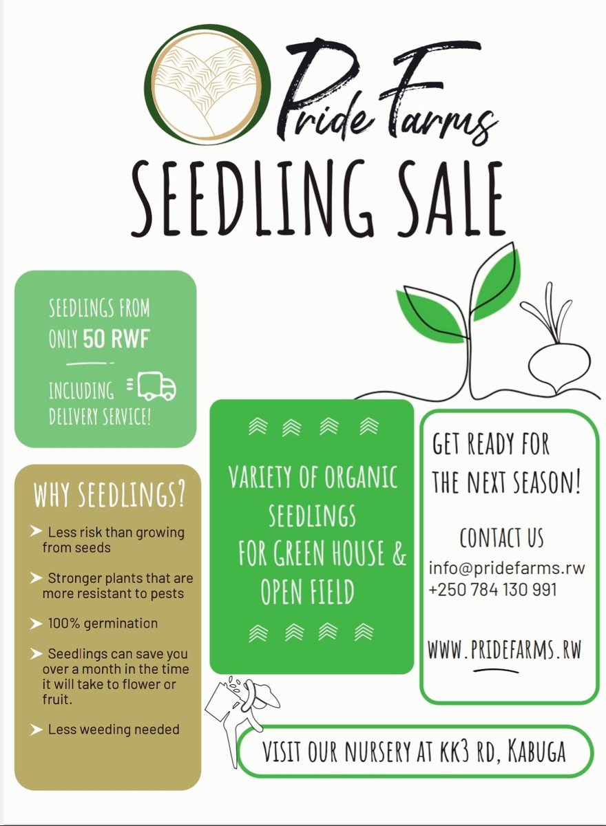 Are you getting ready for season A ? <a href="/PrideFarms_Ltd/">Pride Farms Ltd.</a> is now offering a variety of seedlings for greenhouse and open field. 🌱Contact us! #seedlings @CSAYN_Rwanda <a href="/ryaf_agribiz/">Rwanda Youth In Agribusiness Forum</a> <a href="/Rwandanfarmer/">#Rwandan female farmer official</a> <a href="/RwandaAgriBoard/">Rwanda Agriculture & Animal Resources Devpt Board</a> <a href="/EnviroRwanda/">Rwanda Environmental Journalists</a> <a href="/VOICEOFFARMERI1/">VOICE OF FARMER IN VILLAGE Rwanda</a> #rwandanfarmers #agricultureRwanda
