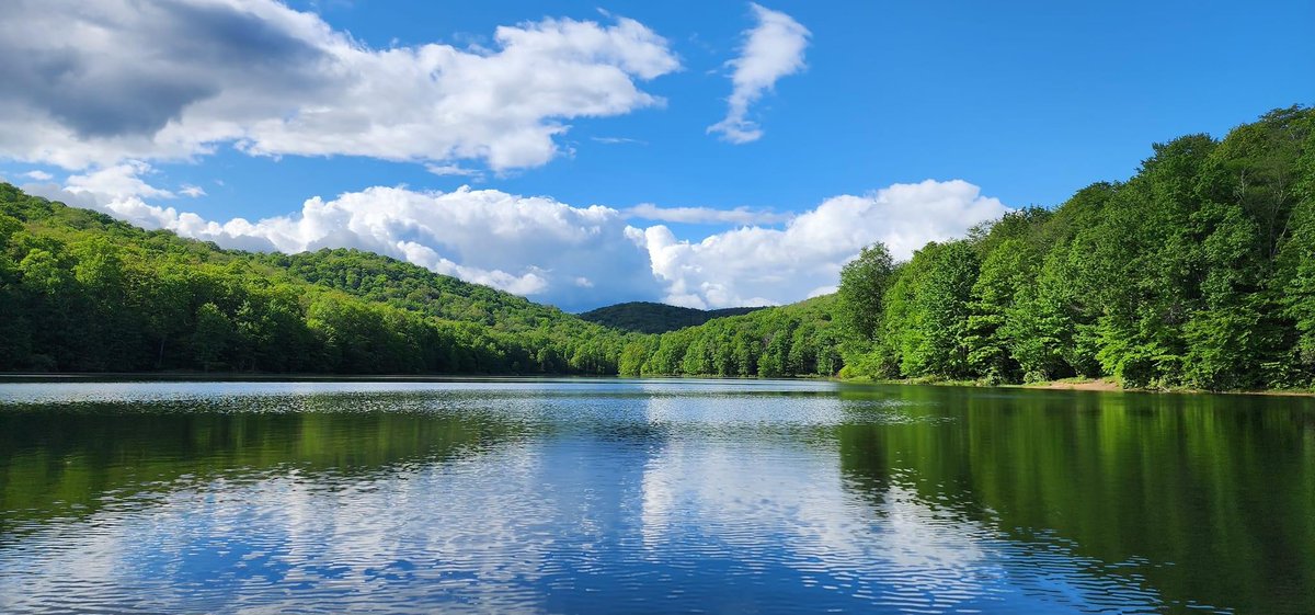 DEPWV's tweet photo. July is Lakes Appreciation Month!
Our Watershed Assessment Branch works hard to monitor lakes to make sure they meet water quality standards. This StoryMap highlights 5 lakes in West Virginia that you'll definitely want to visit!
https://t.co/ioUyIbTD7y https://t.co/dh3ZWe6Gf2
