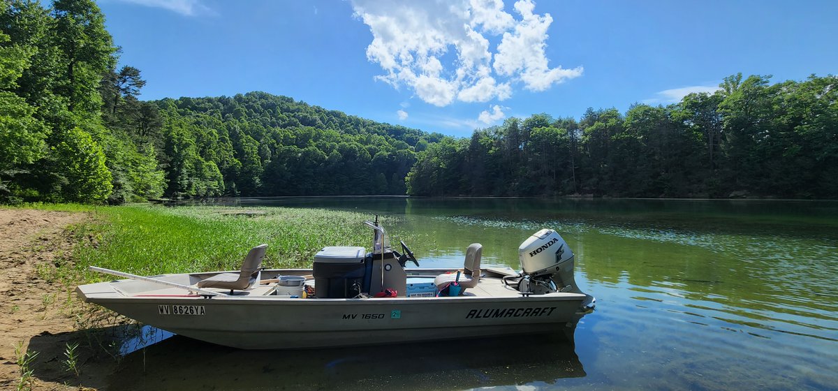 DEPWV's tweet photo. July is Lakes Appreciation Month!
Our Watershed Assessment Branch works hard to monitor lakes to make sure they meet water quality standards. This StoryMap highlights 5 lakes in West Virginia that you'll definitely want to visit!
https://t.co/ioUyIbTD7y https://t.co/dh3ZWe6Gf2