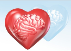 Irish Association of Cardiac Rehabilitation (IACR) tweet media