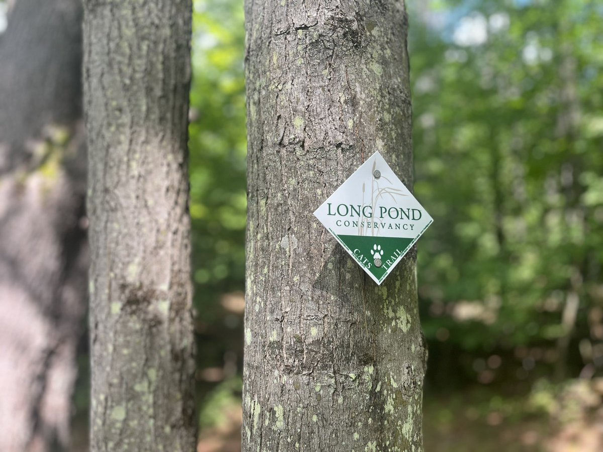 EmilyRussellADK's tweet photo. Good hiking trails can be hard to come by on the East Coast. That's why some people are working to expand the network of trails by carving new public paths through private land.
Hear my story about @ChamplainTrails on @NPR https://t.co/BkIN7maGYS https://t.co/3euKJJbaGt