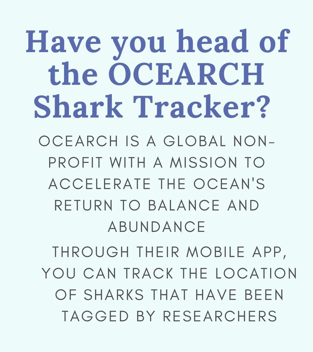 VBSRMuseum's tweet photo. @OCEARCH 
#VBSRMuseum #sharkweek #SharkWeek2023 https://t.co/3BjMooS36S