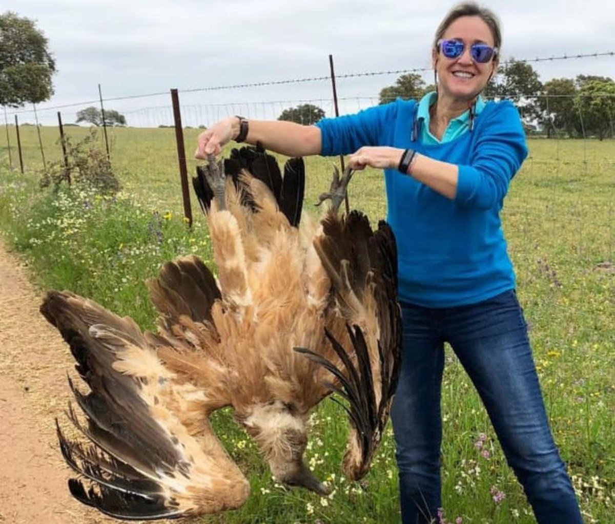 «Graciela María Gómez A., concejala en Don Benito, ha candado sus redes sociales. En ellas son habituales publicaciones franquistas y de caza. La más polémica, una foto con un buitre leonado inerte. La caza de especies protegidas debe ser castigada con multa o pena de prisión.»