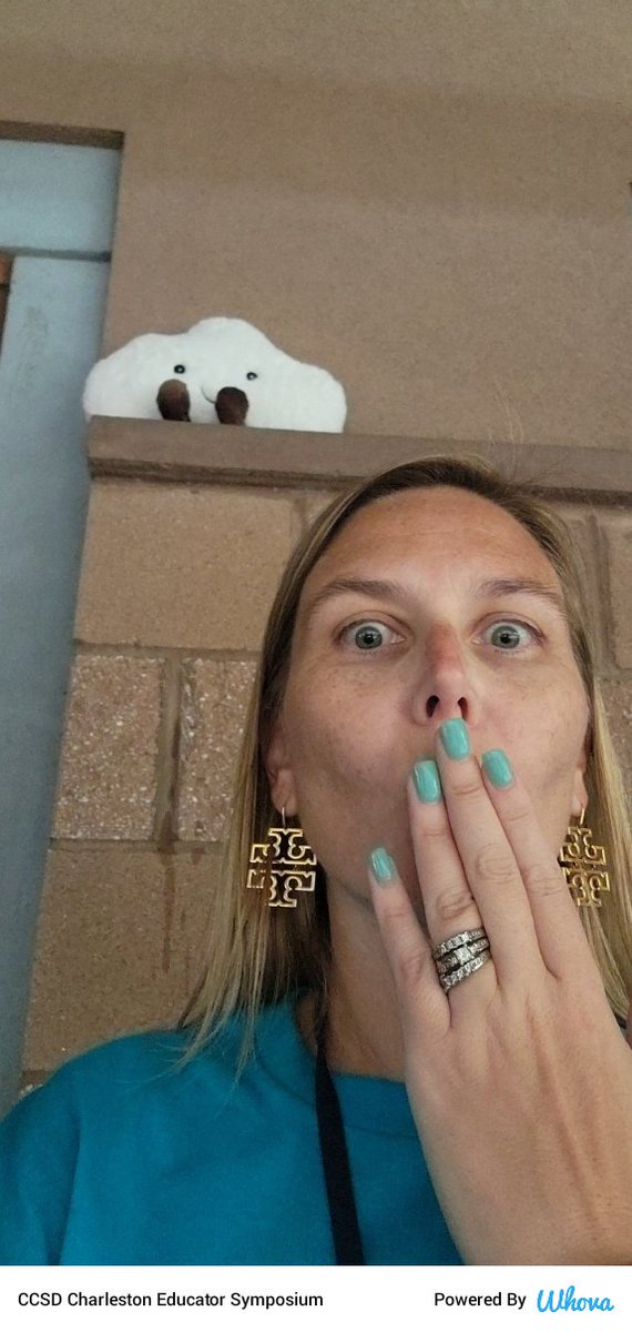 Colleen Knauer tweet media