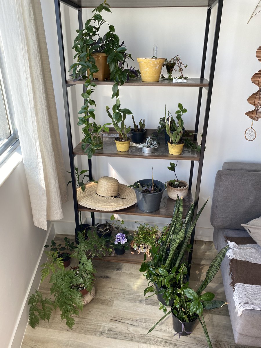 Augusto Pereira tweet media