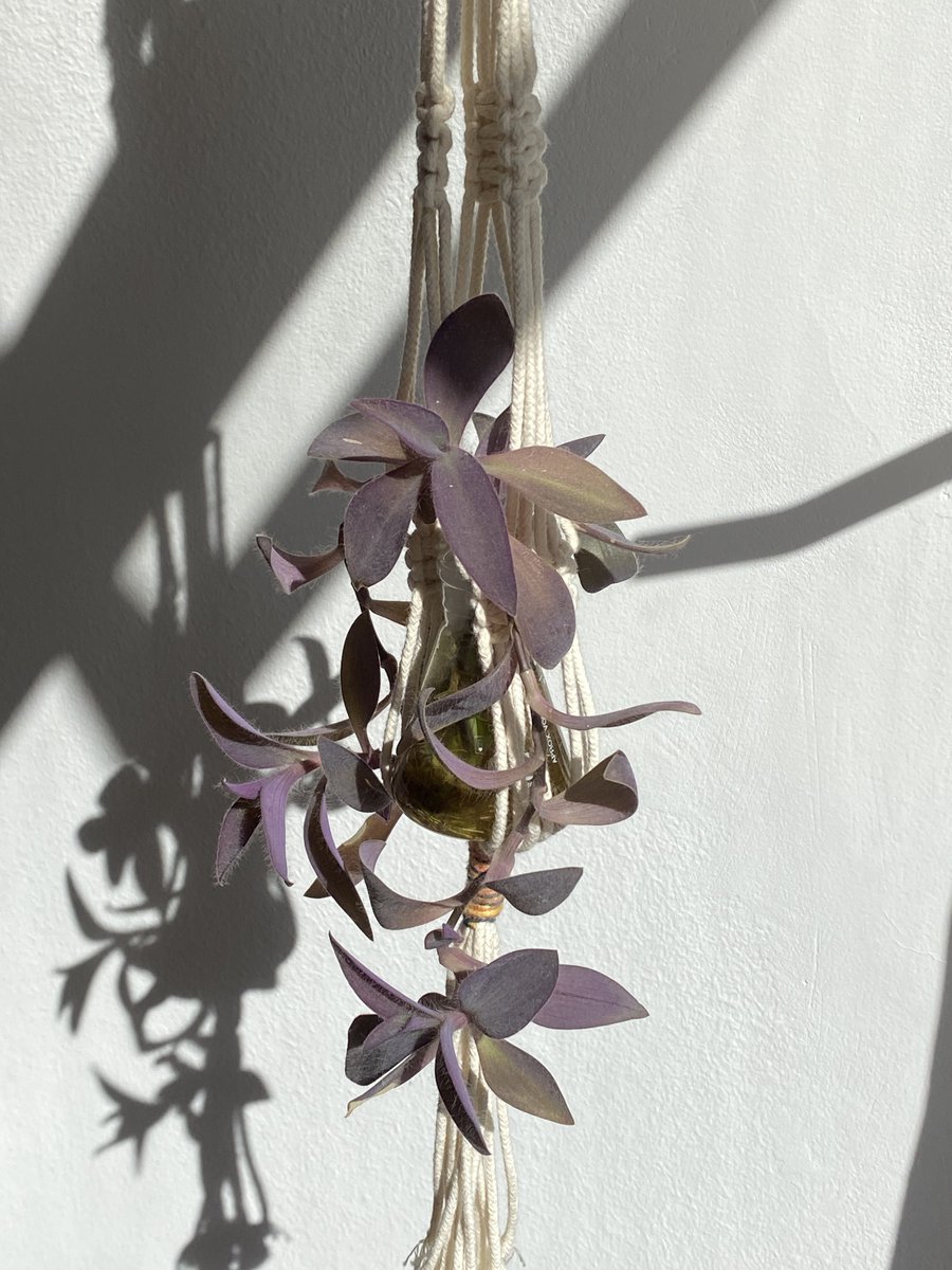 Augusto Pereira tweet media