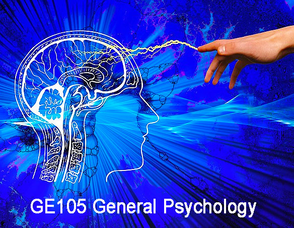 General Psychology Course Code: GE105
Students will be introduced to basic concepts, principles, and phenomena in the science of behavior. Basic topics of psychological measurement, scientific methodology, &amp; human growth
v4.oasissis.com/cgi-bin/v5/pub…