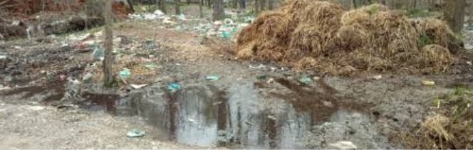 mudasirkps's tweet photo. Few days ago I was on a trip with my family to Kichpora Waterfall. Close on the entrance a huge pile of Cow-dung greets visitors with a foul smell. Although people used to visit this park for fun but it has become a big Joke due to this filthy smell!
Go &amp; check out https://t.co/vpc36erWg9