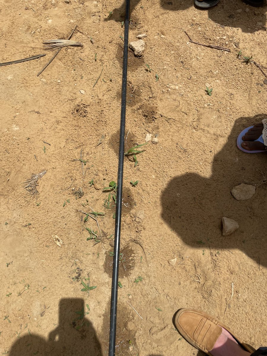 CMInglehearn's tweet photo. Ravie de célébrer la fin du projet 🇬🇧 “Agriculture intelligente face au climat” ensemble avec les femmes et jeunes bénéficiaires et toute la communauté de Karra en région Dosso. L’irrigation solaire pour augmenter la production et renforcer la résilience. Ir go tcharbandé! https://t.co/miuCucEtvc