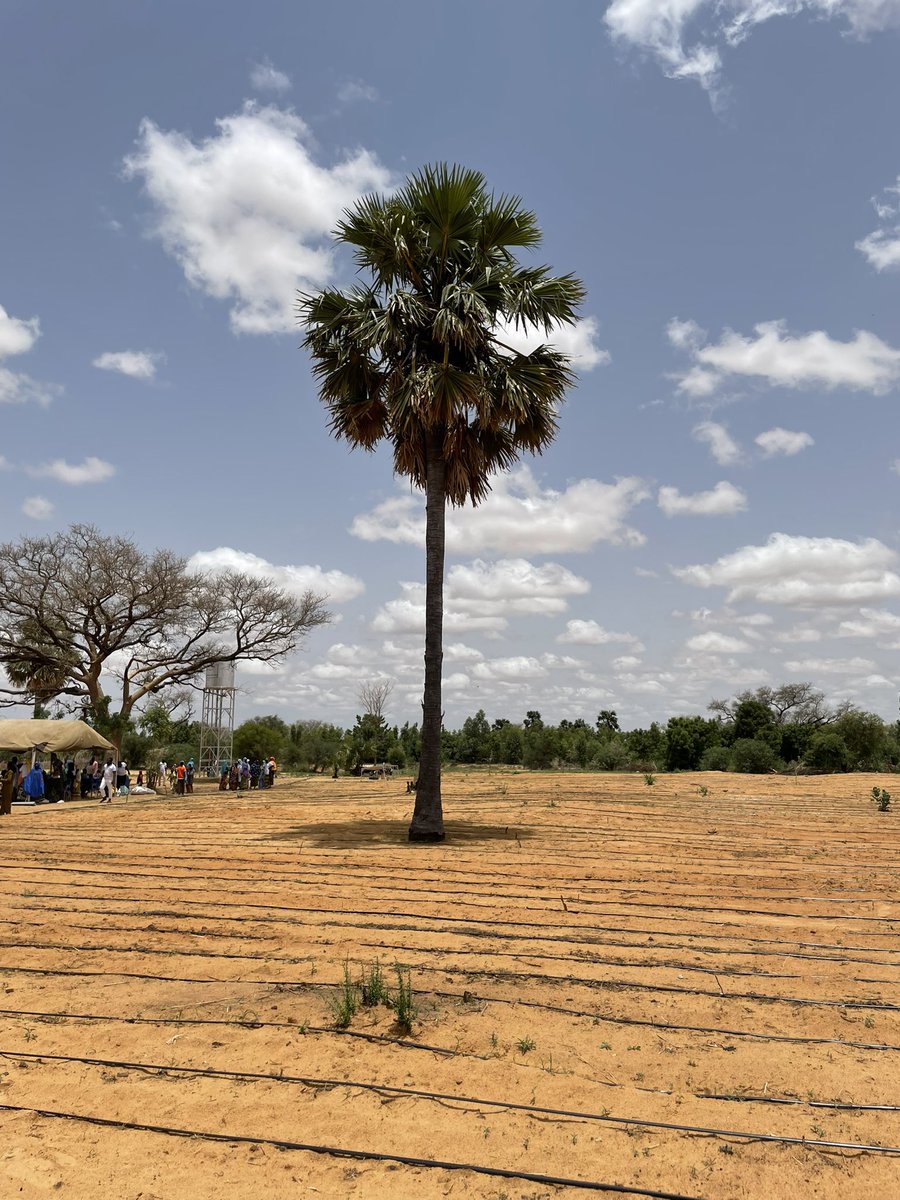 CMInglehearn's tweet photo. Ravie de célébrer la fin du projet 🇬🇧 “Agriculture intelligente face au climat” ensemble avec les femmes et jeunes bénéficiaires et toute la communauté de Karra en région Dosso. L’irrigation solaire pour augmenter la production et renforcer la résilience. Ir go tcharbandé! https://t.co/miuCucEtvc