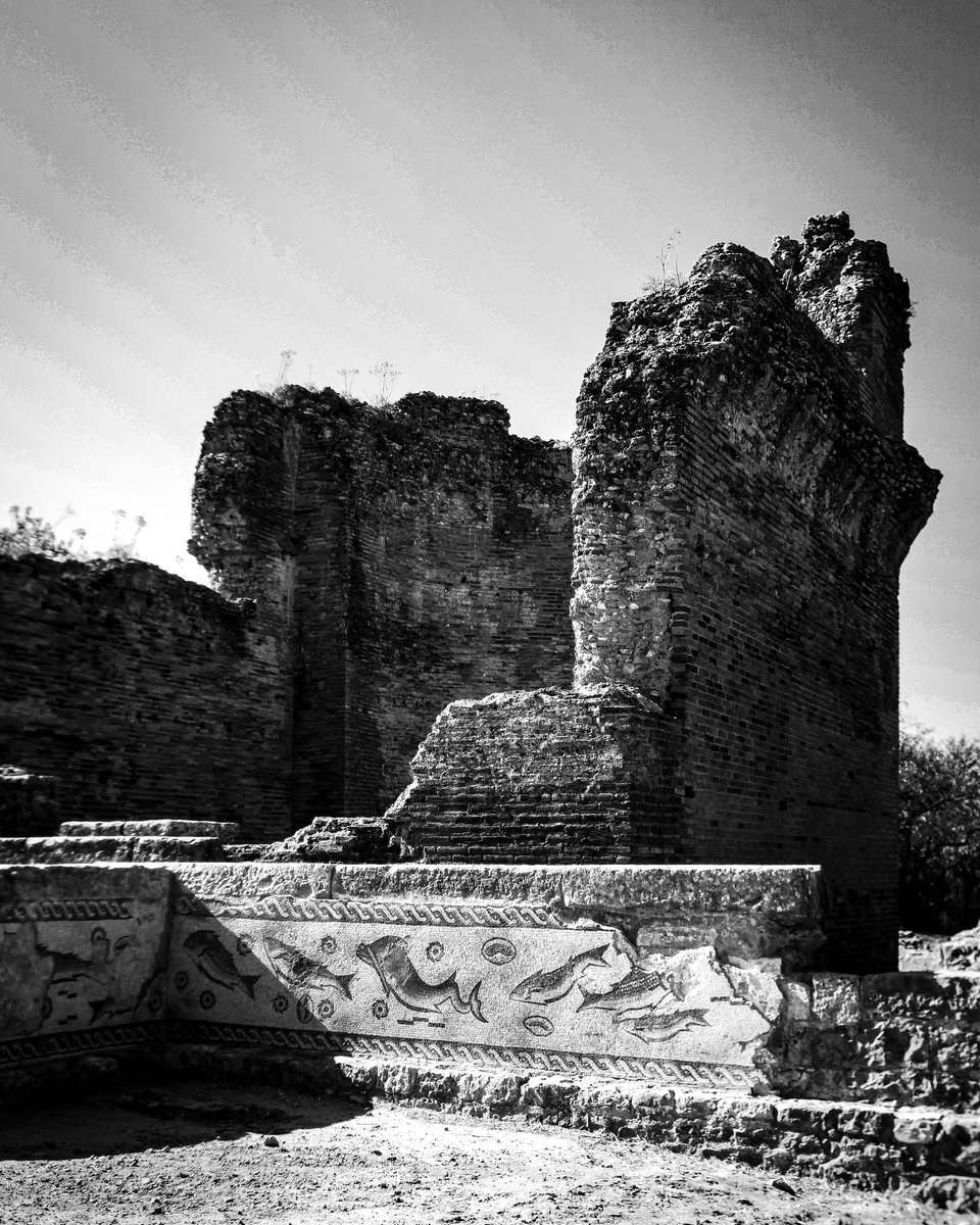ruidnorte's tweet photo. #pedacosdeestoi
#ruinasromanas
#ruinasromanasmilreu 
#bnw https://t.co/nk2StsCWFa