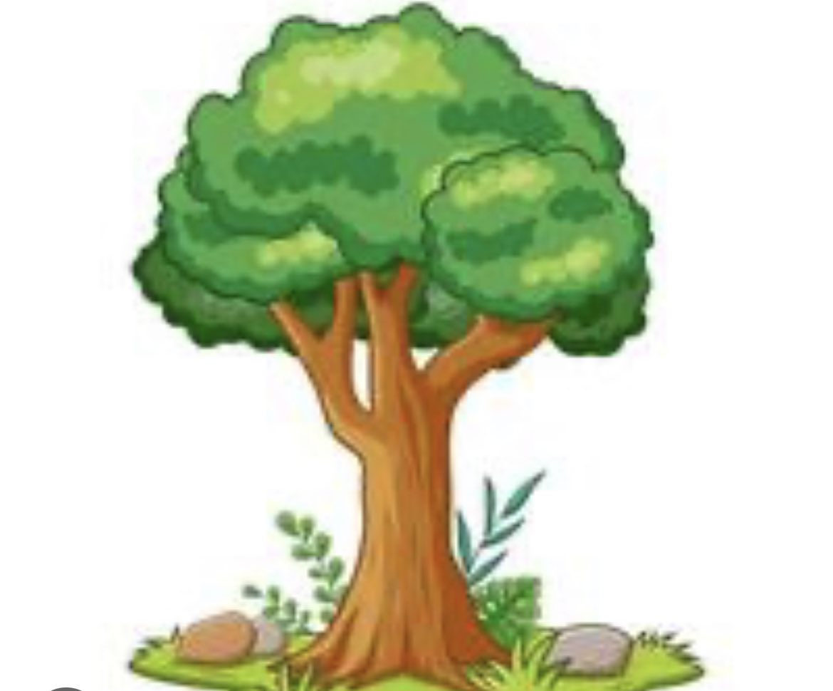 TreeLambeth's tweet image. The numbers are in:
 
⁦@lambeth_council⁩ planted only THREE trees in May, our latest FOI reveals.     

They felled 24. That’s a net loss of 21 trees!

We don’t want any more months like this ⁦@RezinaChowdhury⁩ ⁦@clairekholland⁩