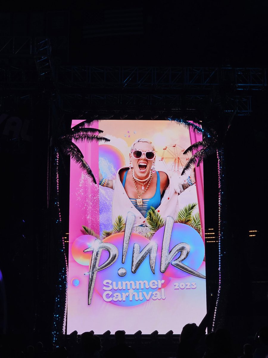 panko202's tweet photo. @Pink thank you for being just the best human. You're an inspiration, a force to be reckoned with and the most talented woman in the history of talented women (and that's a long list) Wore my favorite shirt to your show, remember this one? https://t.co/EBlQFnxypl