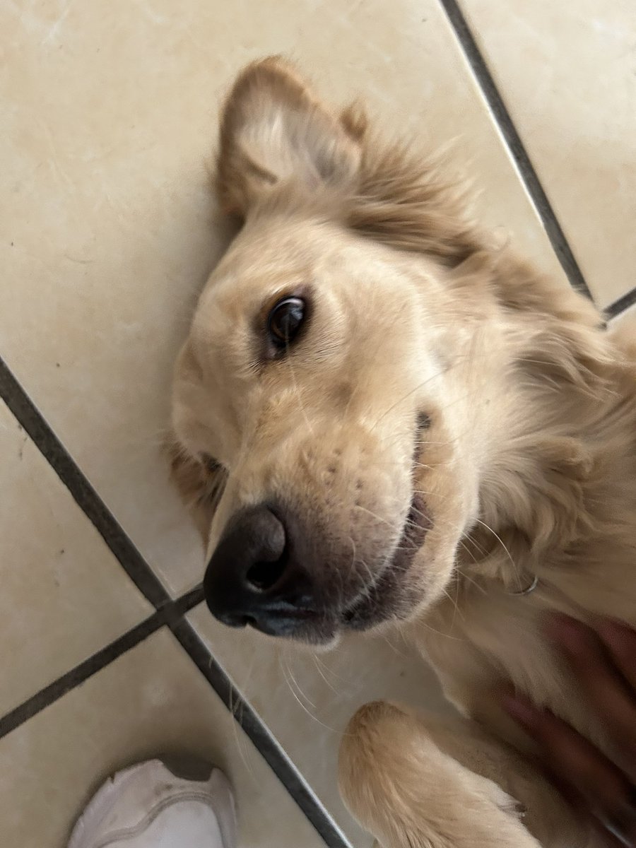 A little kiva update since I haven’t been on here in forever