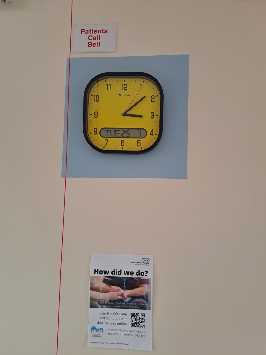 Alison Gray 🍊 tweet media