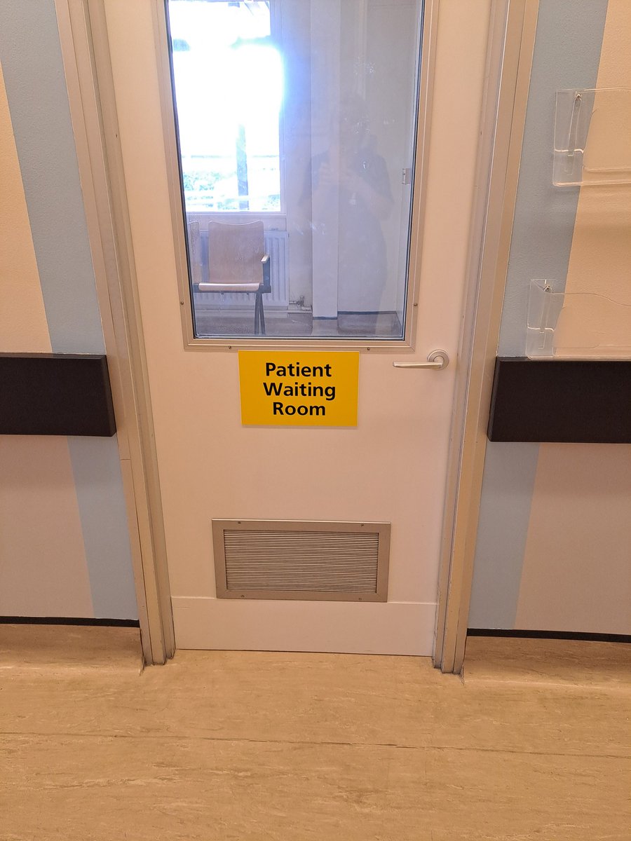 Alison Gray 🍊 tweet media