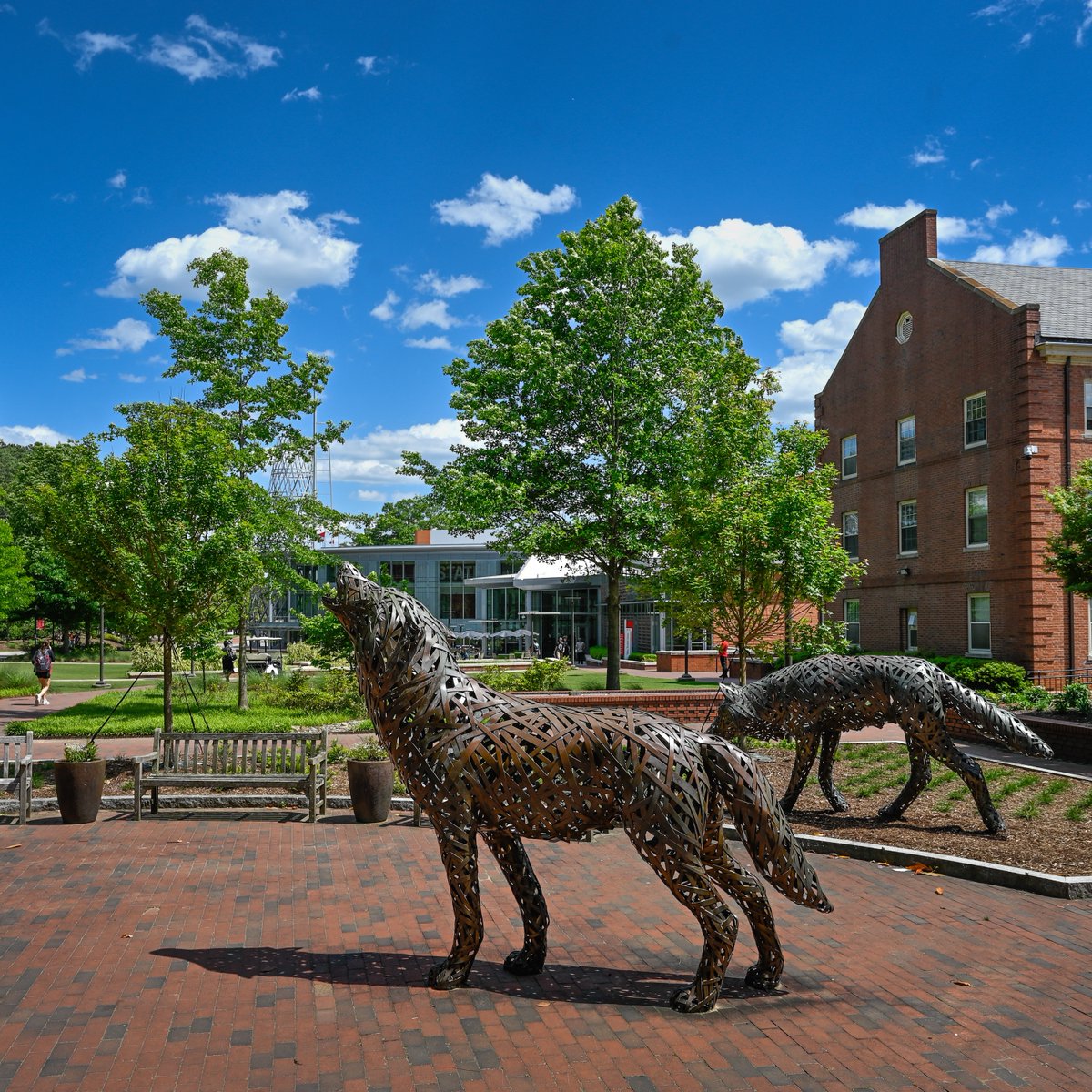 NC State ECE tweet media