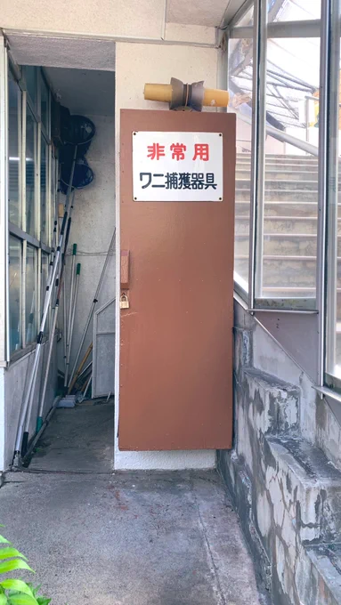 小学生の時以来にバナナワニ園行ってきた
