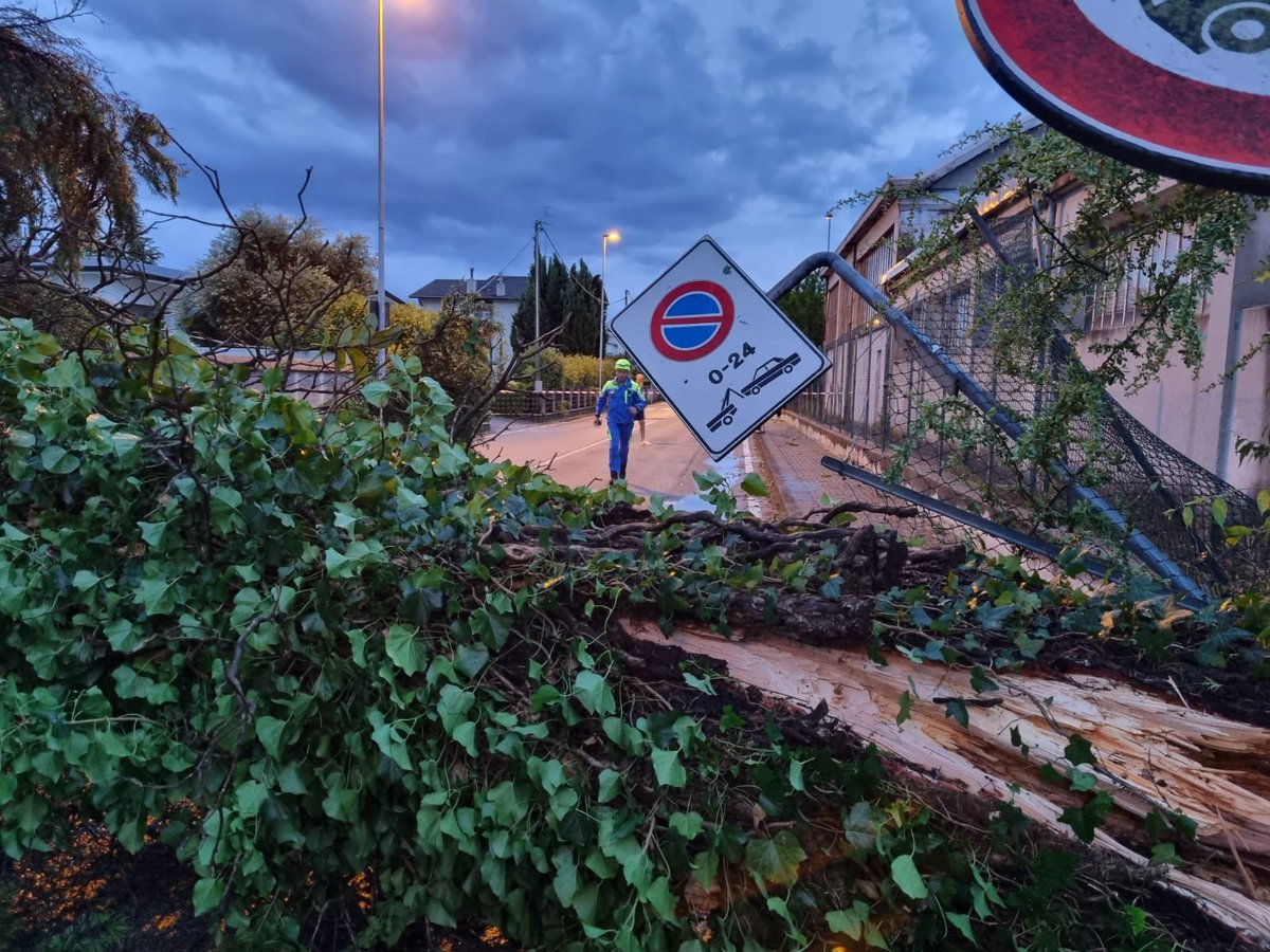 #Maltempo: #RegioneFVG dichiarerà stato di emergenza. <a href="/M_Fedriga/">Massimiliano Fedriga</a>: "Stanziati immediatamente 50 mln per i danni ingenti che saranno inseriti nell'assestamento di bilancio in discussione proprio in questi giorni in <a href="/CRFVG/">Consiglio FVG</a>".
👉bit.ly/3O91jdX