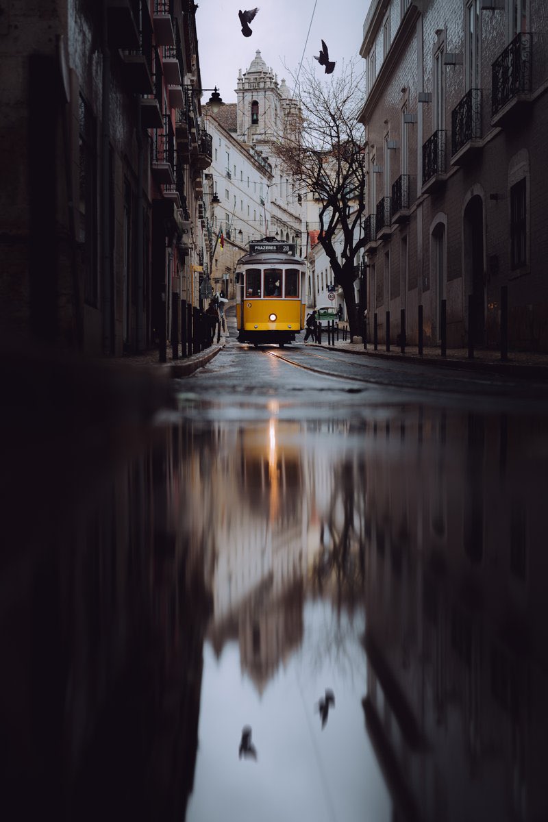HicAdam8's tweet photo. kimseyle kavga etme. tepki verme. seni anlamak istemeyene kendini anlatmaya çalışma. seni görmek istemeyenlere kendini gösterme ihtiyacı duyma. mesafeni koru ve kendini geri çek.

ve çünkü;
en güzel yanıttır mesafe…
. https://t.co/WU3rJyQsnv