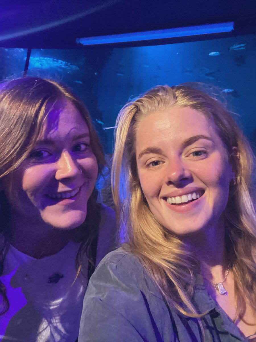 Dr Amelia Bridges tweet media