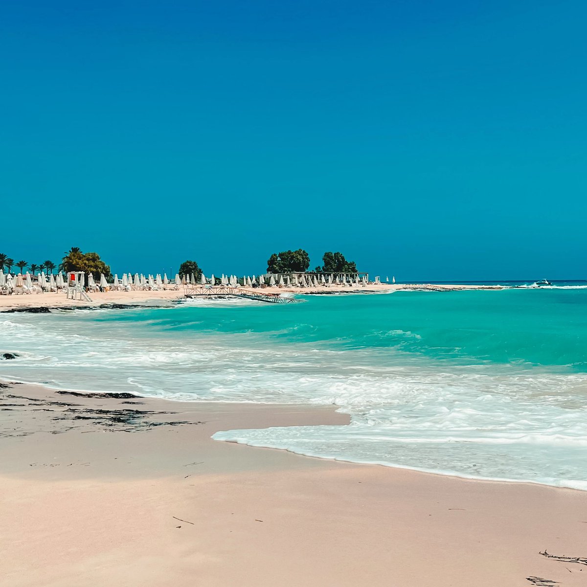 Gary Lee tweet media