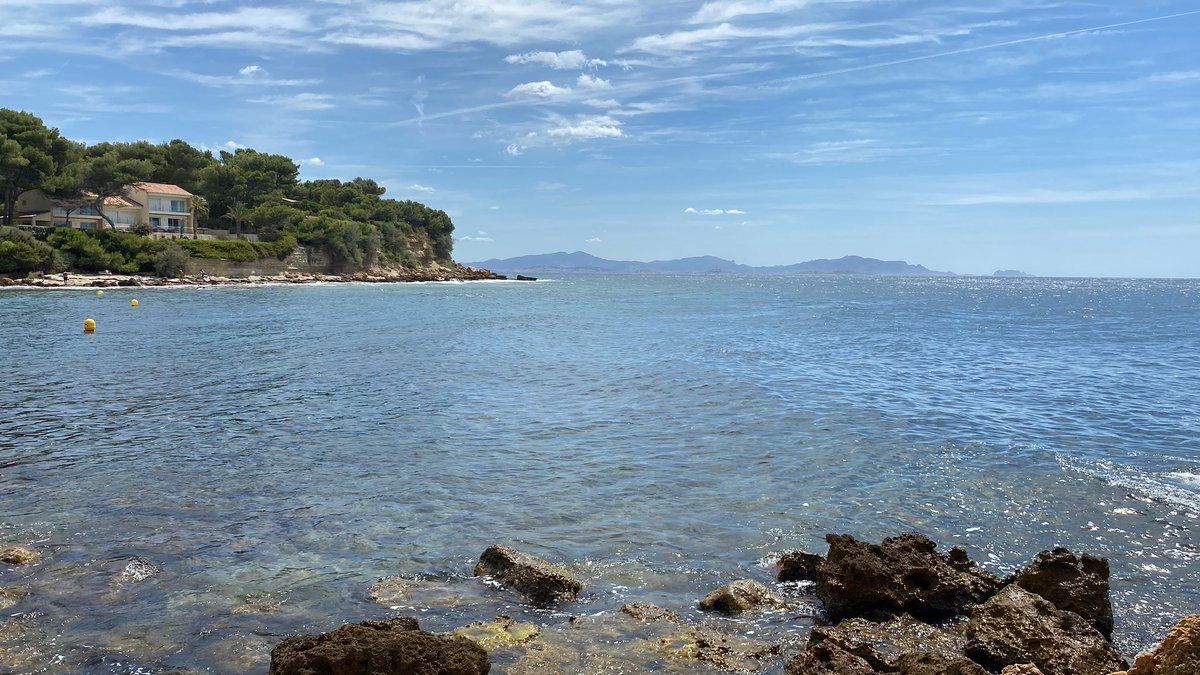 Pierre JANASZAK tweet media