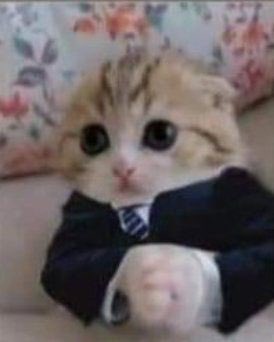 marginai_ tweet media