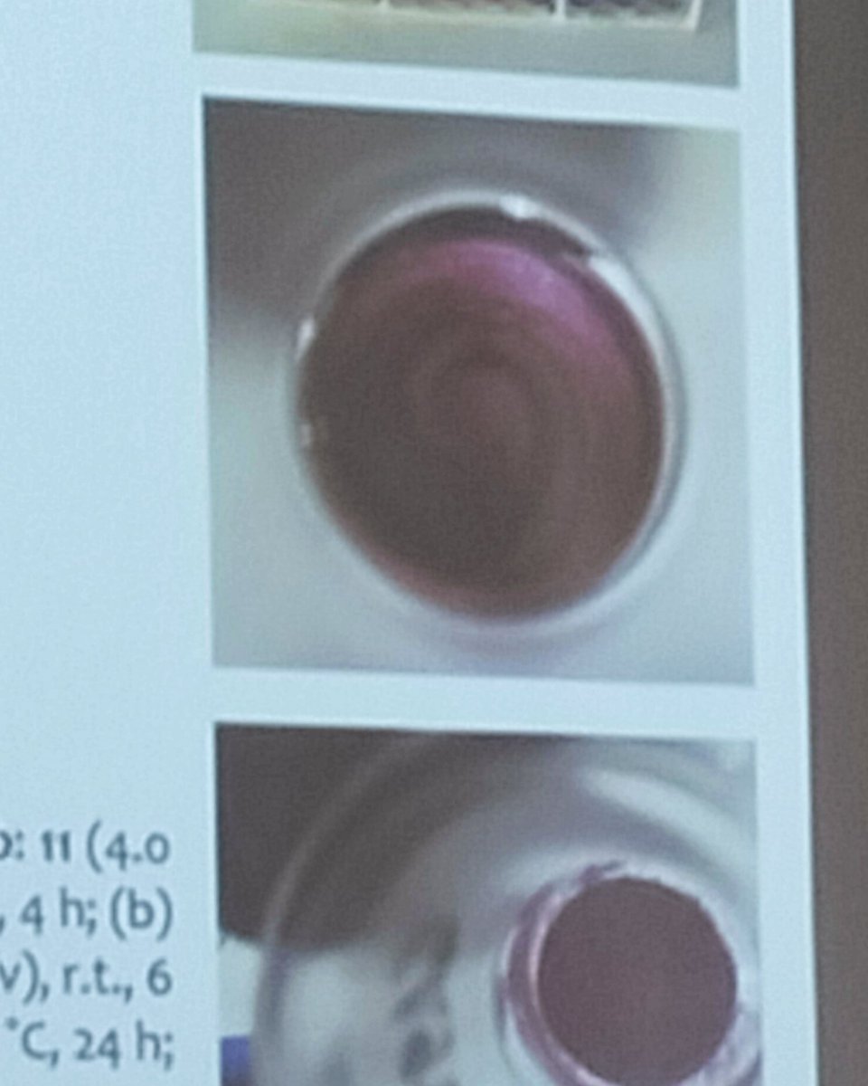 chirality2023's tweet photo. @GianluigiAlbano showing his chemical rose at #Chirality2023 https://t.co/XTIiUsL9CT