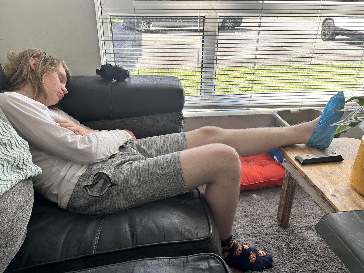 chellewalks's tweet photo. This poor little poppet has had to have surgery on his toe again today. Nothing serious but not how he was hoping to be spending the first week of his summer holidays https://t.co/rfb9KhQWNd
