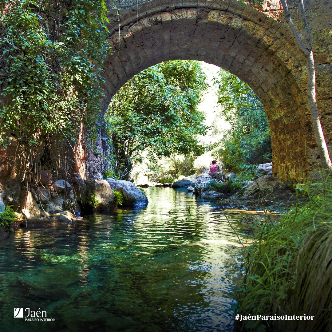 Puente de las Herrerías 🏞
Uno de los lugares más emblemáticos del Parque Natural 🌿te espera para vivir emocionantes aventuras.

Desde aquí, podrás comenzar algunas de las rutas más interesantes de la región. ¡La naturaleza te aguarda! 🚶‍♂️🌿

📸 Imagen de archivo