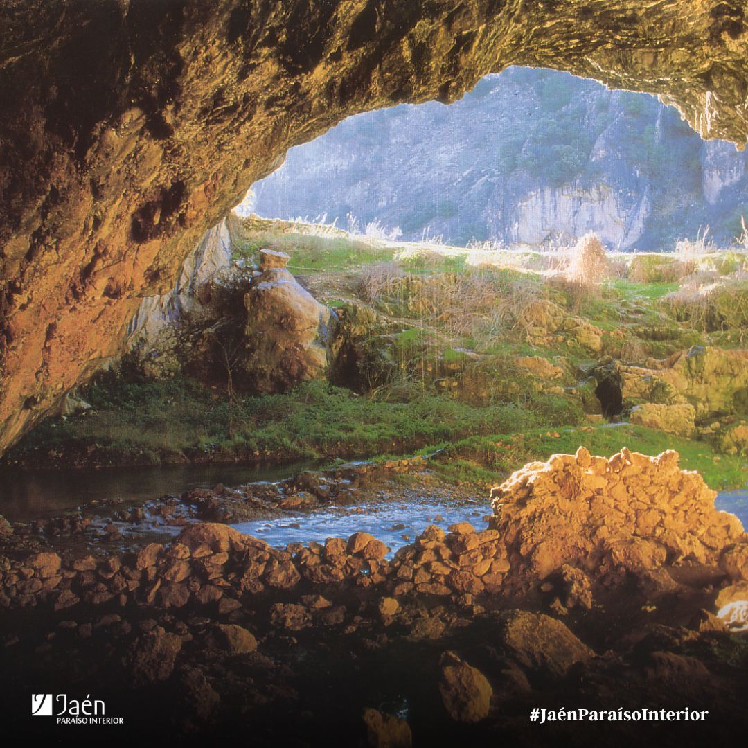 𝗖𝘂𝗲𝘃𝗮 𝗱𝗲𝗹 𝗔𝗴𝘂𝗮 💦

¡Explora la mágica Cueva del Agua! 🏞️ Un camino asfaltado que te llevará hasta este lugar encantado.

📸 Imagen de archivo