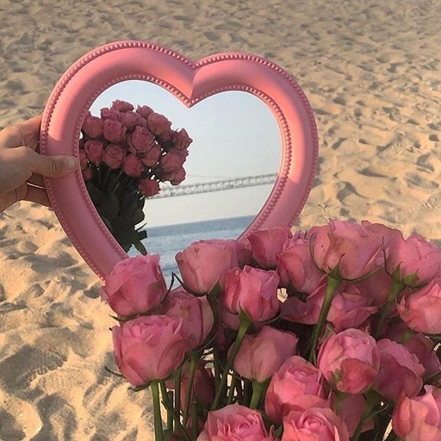 flowers_postss's tweet photo. https://t.co/TPgieEEQvQ