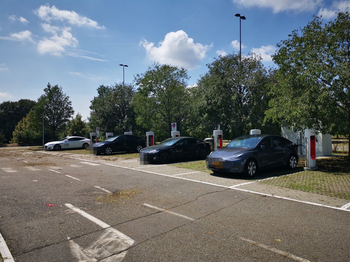 テスラ初心者🔰 tweet media