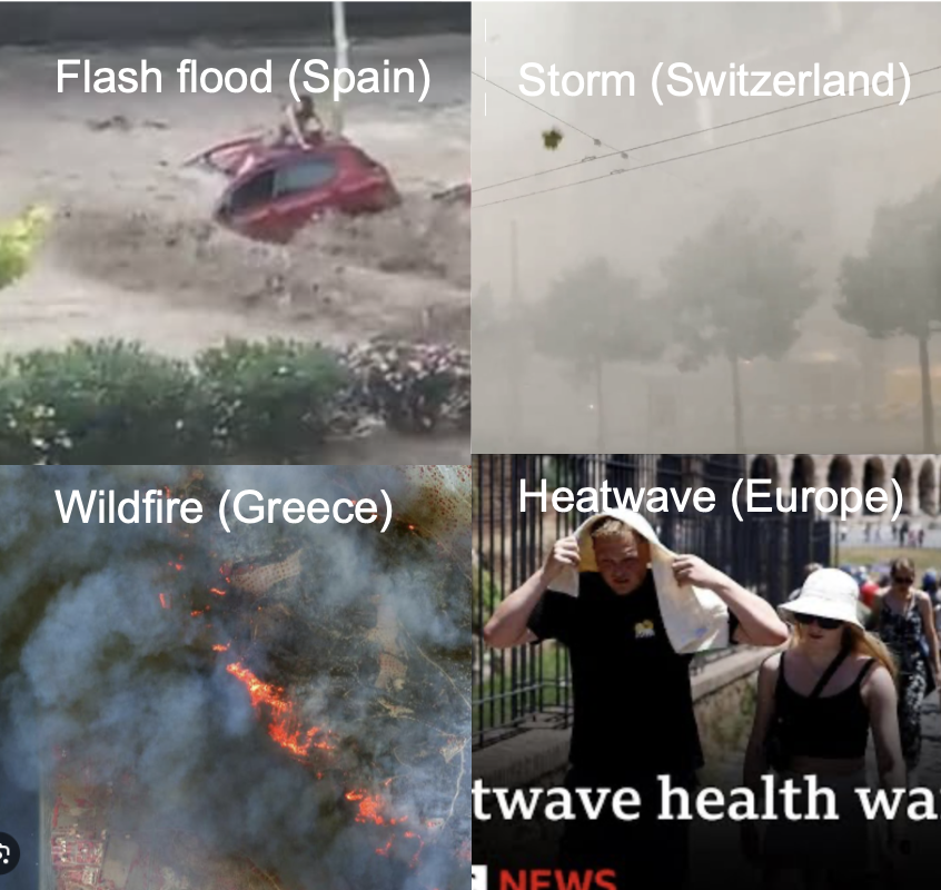 Dann Mitchell tweet media