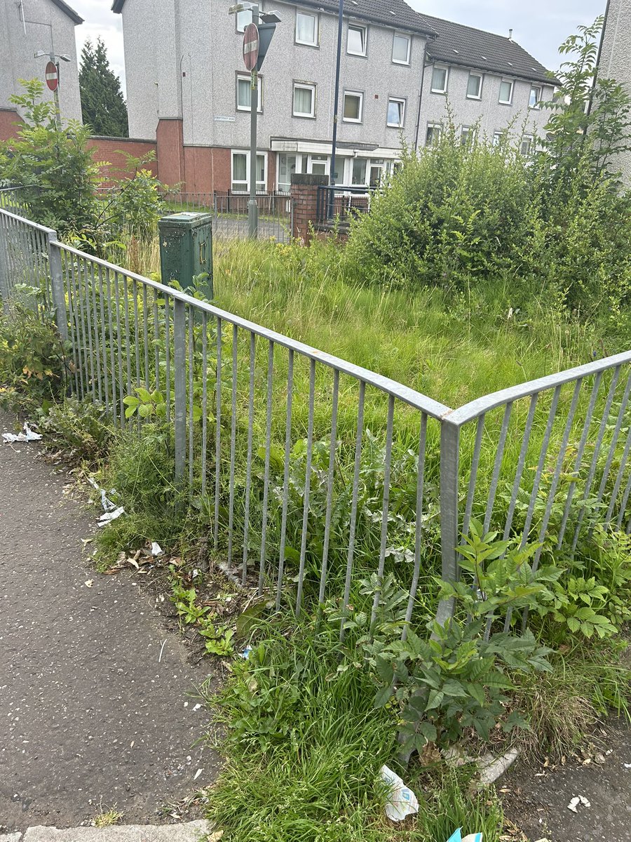 Chebz3011's tweet photo. @MyGlasgowCC can you please arrange for this area to be cut back on croftfoot road. That’s been 7+ months they have “missed” it now and every other surrounding area gets cut regularly. https://t.co/h8m9I9cNGH