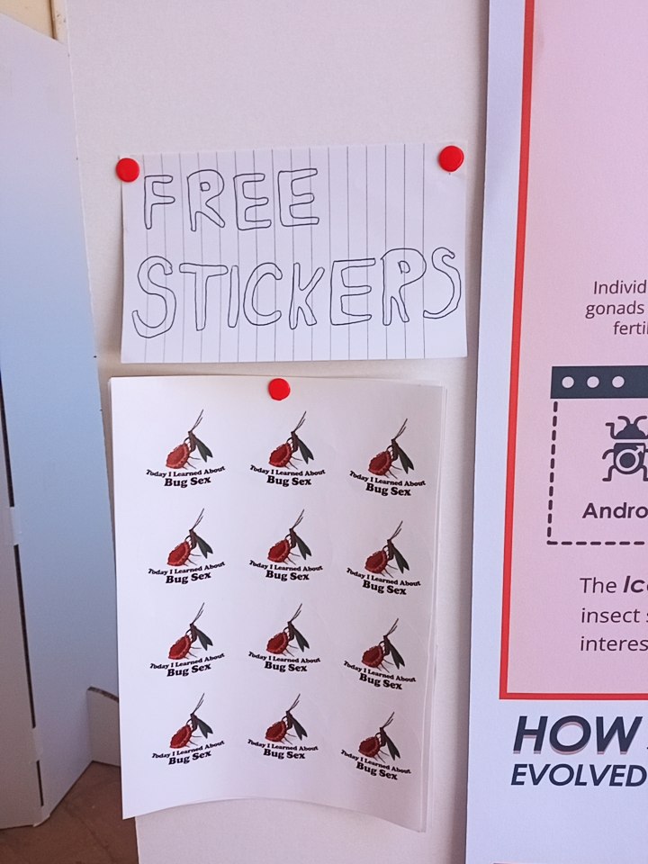elpida_skarlou's tweet photo. The moment that we all have been waiting for 😂
FREE BUG SEX STICKERS 🤩
Aw AND a poster about the evolution of weird reproductive systems of the Iceryini tribe 😄
Come and learn about bug sex just on the right from the main entrance of San Paolo 🤓
#SMBE2023 #RossLab https://t.co/xhTPXKNCJN