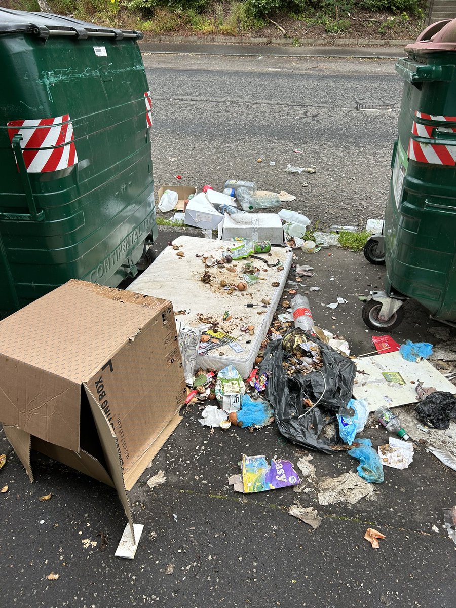 alibali90's tweet photo. @DundeeCouncil bins got emptied yesterday so what am I meant to do with this right outside my flat???? Will this be cleared https://t.co/zX5LTYkCDP