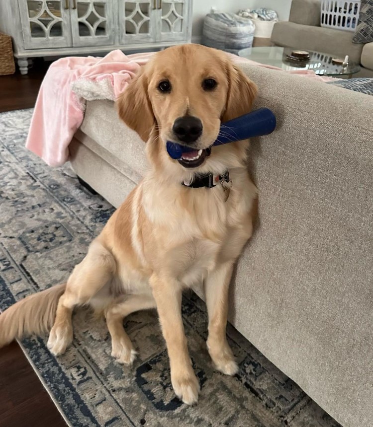 BULLYMAKE tweet media