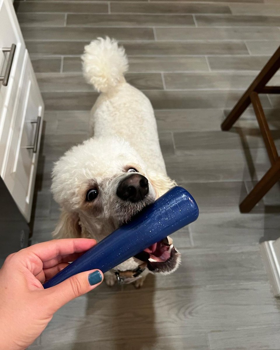 Batter up! ⚾ 

Just a couple of our favorite pups hitting home runs with our nylon baseball bat. I think they all *knocked it out of the park* 😉 

bullymake.com to snag this month's theme! 

#dogs #dogtoys #petsupplies