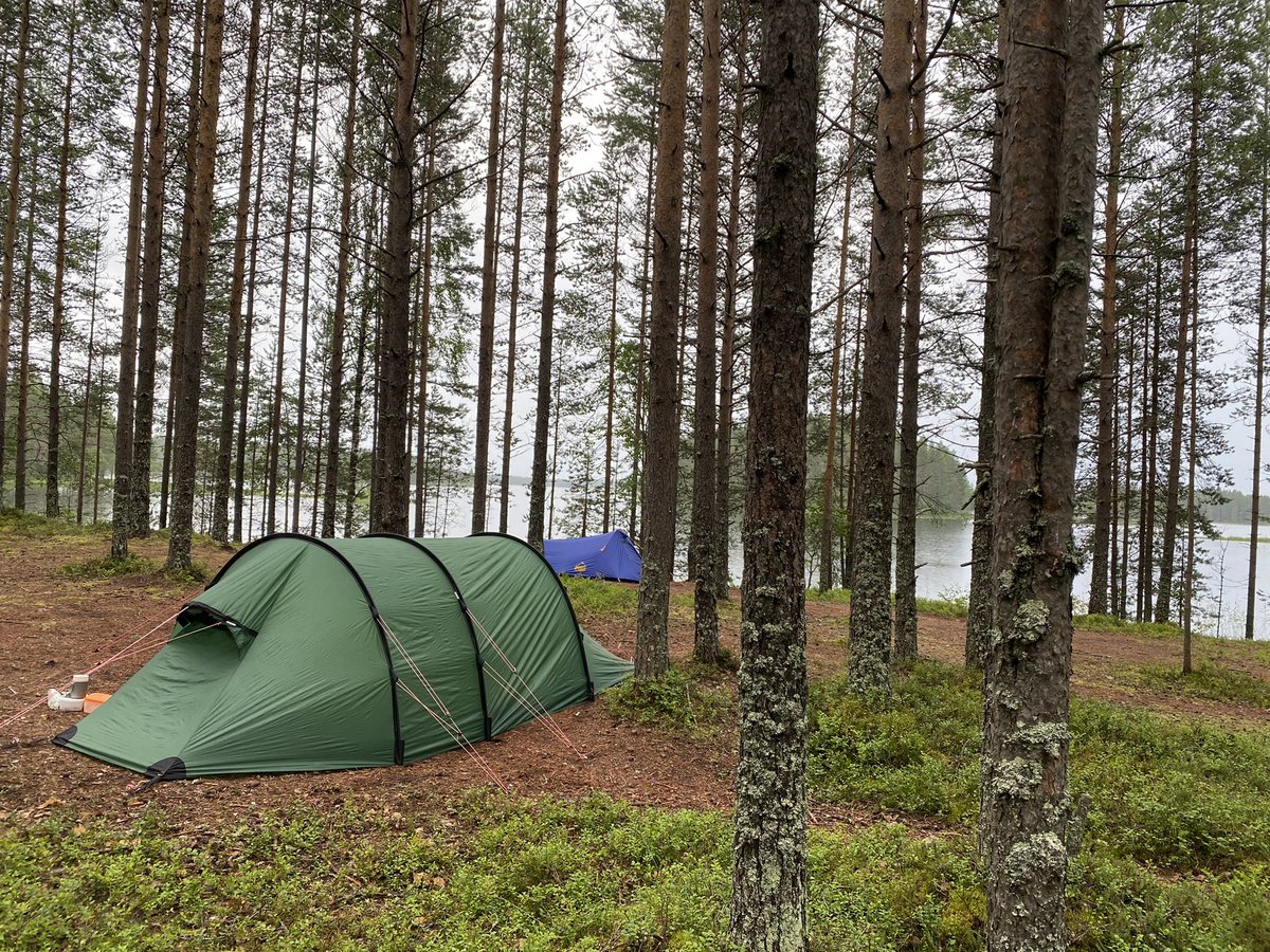 #Kainuu’n lomaa parhaimmillaan: ahven ja perunat alle 100 m päästä keittiöstä, kantarelleille kertyi matkaa tällä kertaa n. 25 km. Lisäksi vierailu Tiillikajärven #kansallispuisto’ssa (29. Kp). #lähiruoka, #luonnonmonimuotoisuus