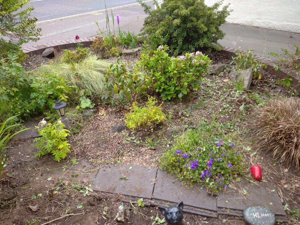 TheStarfishWay's tweet photo. On Monday, our open group began a gardening project with Strathmore Sheltered Housing.

Will and Marilia have now achieved 50 hours and 25 hours of volunteering with the Saltire Award. 

All of us at the Association would like to wish Will a very happy 18th birthday! 

#PKDofE https://t.co/yjx2e5raCn