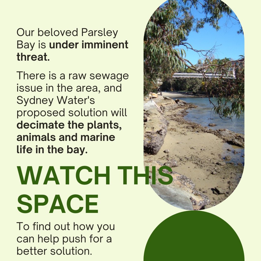If you love Parsley Bay as much as we do….
WATCH THIS SPACE! Instructions on how to help and information on the situation coming soon!
#saveparsleybay