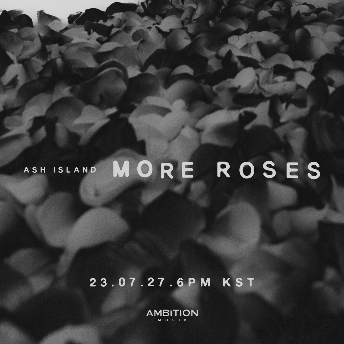 AMBITION MUSIK tweet media