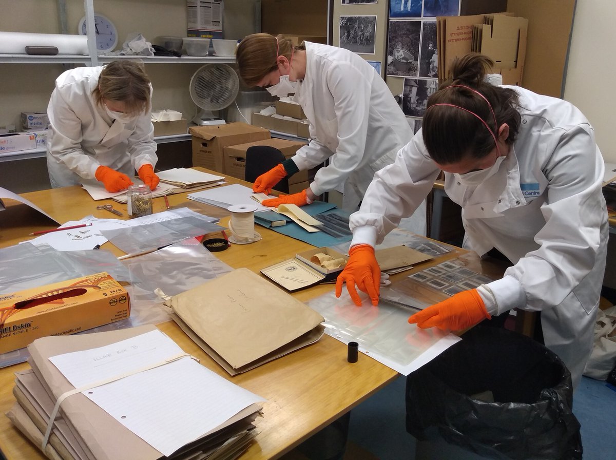 NorfolkRO's tweet image. Today we have colleagues from the @JohnInnesCentre using our facilities to clean and repackage the David Bond Collection donated to the centre by his family. #BroadBeans #PlantBreedingInstitute